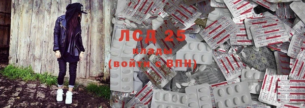 ГАЛЛЮЦИНОГЕННЫЕ ГРИБЫ Балабаново