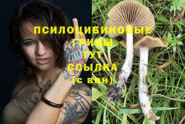 ГАЛЛЮЦИНОГЕННЫЕ ГРИБЫ Балабаново