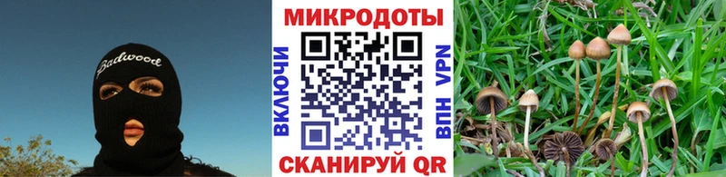 Псилоцибиновые грибы GOLDEN TEACHER  купить закладку  Мичуринск 